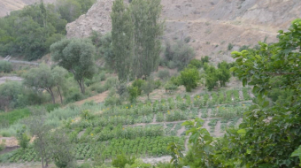 WhatsApp Image 2025-06-11 at 23.20.54 (1)